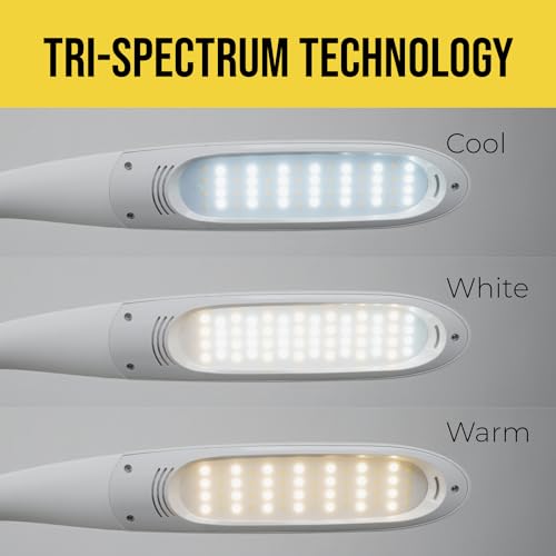 LED Desk Task Lamp