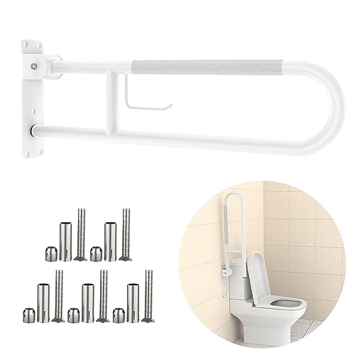 Toilet Grab Bar