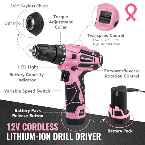 Tool Set with Cordless 12V Drill Driver