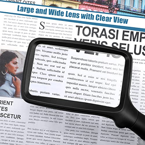Folding Handheld Magnifying Glass