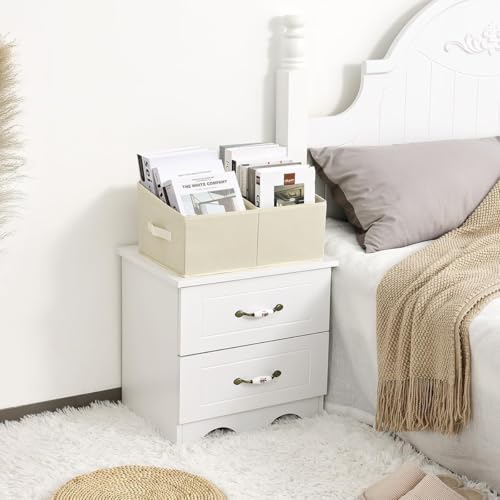 Closet Storage Bins