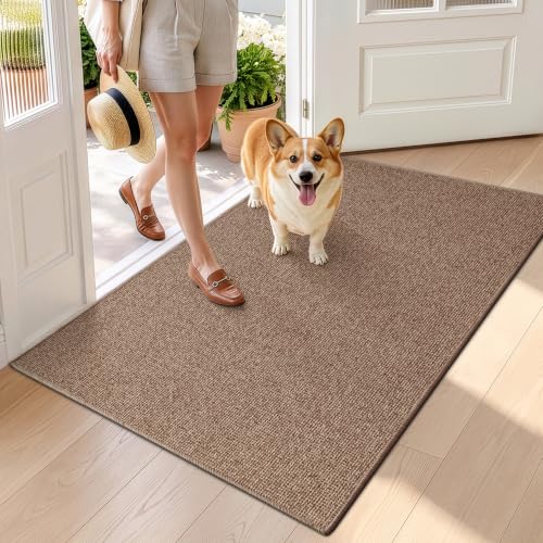 Ultra Thin Door Mat for Entryway