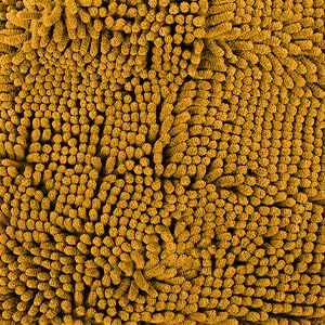 Super Water Absorbent Door Mat Indoor