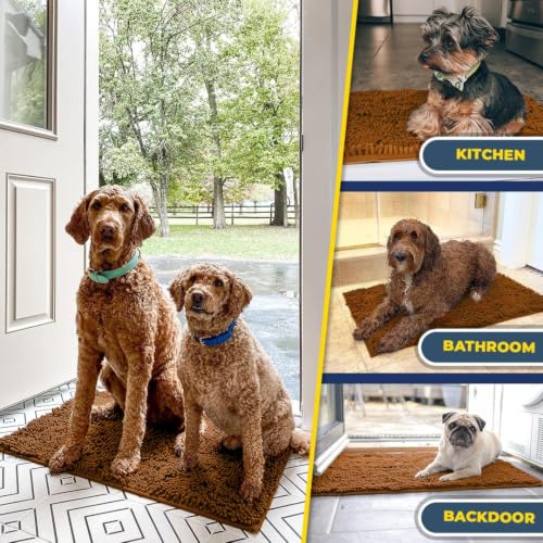 Super Water Absorbent Door Mat Indoor