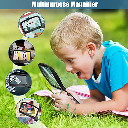 Folding Handheld Magnifying Glass