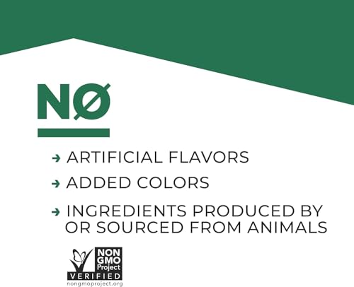 Plant Based Protein Shake 11 Fl Oz