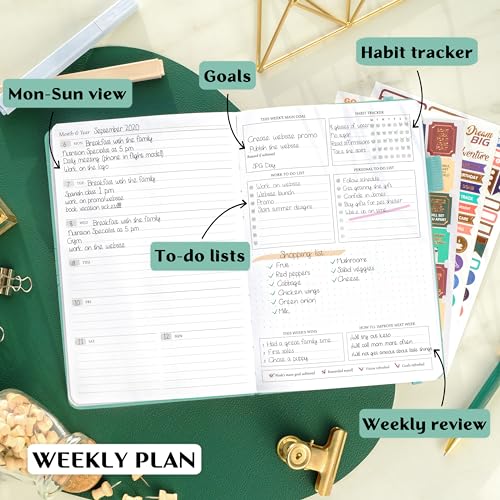 LP Weekly
