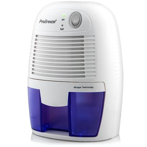 Electric Dehumidifier for Home