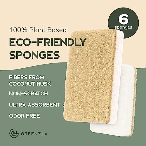 Natural Sponges