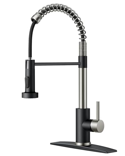 Kitchen Faucet with Pull Down Sprayer