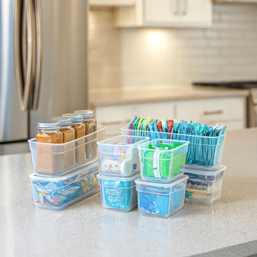Plastic Storage Bins with Lids