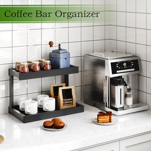 2 Tier Spice Rack Organizer for Countertop