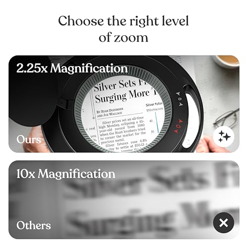 LightView PRO