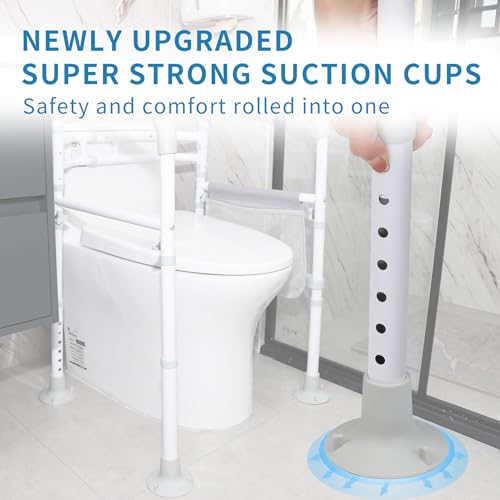 Toilet Safety Rails