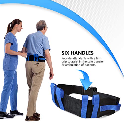 Transfer Gait Belt