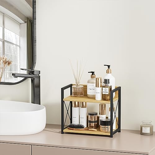 2 Tier Spice Rack