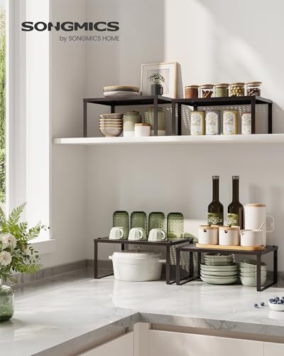 Spice Racks Metal Cabinet Shelf Organizers