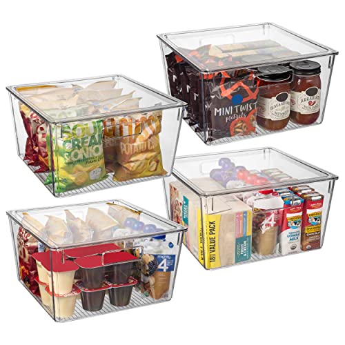 Plastic Storage Bins with Lids