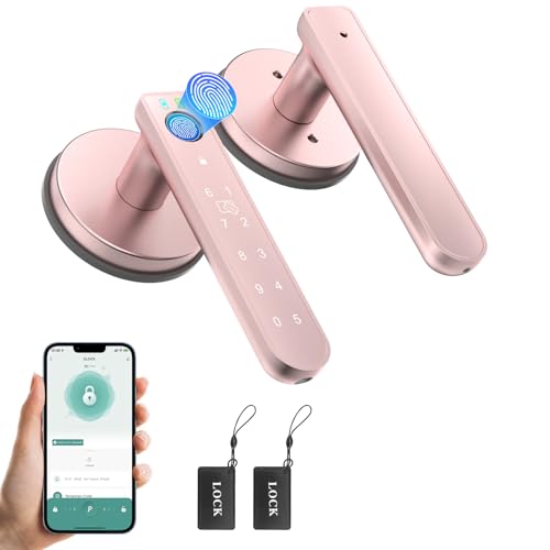 CA02 Fingerprint Door Lock