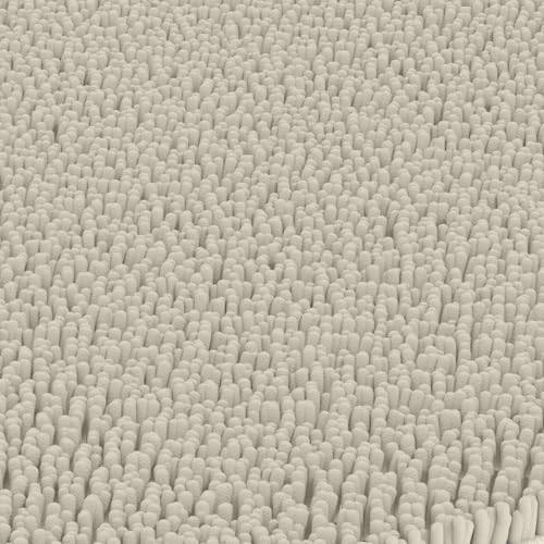 Around Toilet Rugs