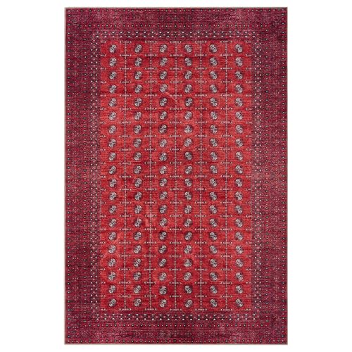 Machine Washable Area Rug with Non