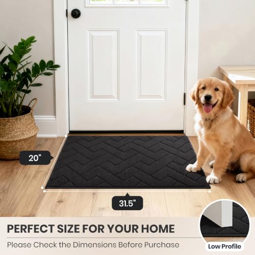 Dirt Trapping Door Mat Indoor Entrance