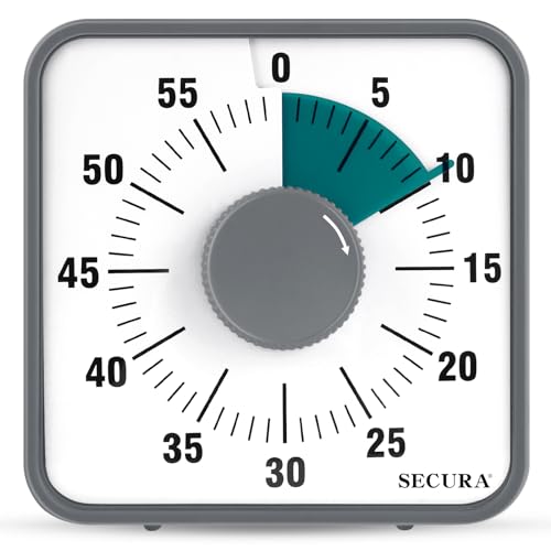 60 Minute Visual Countdown Timer