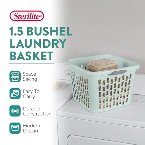 Laundry Basket