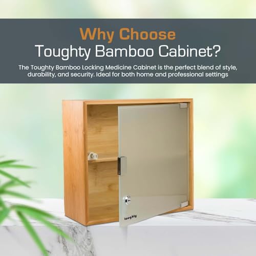 Locking Medical Cabinet