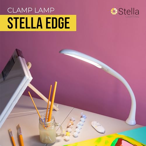 LED Desk Task Lamp