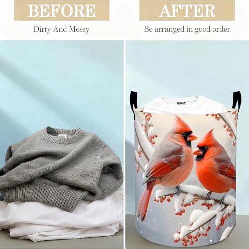 Miniature Schnauzer Laundry Basket Hamper for Boys Girls Kids Adults