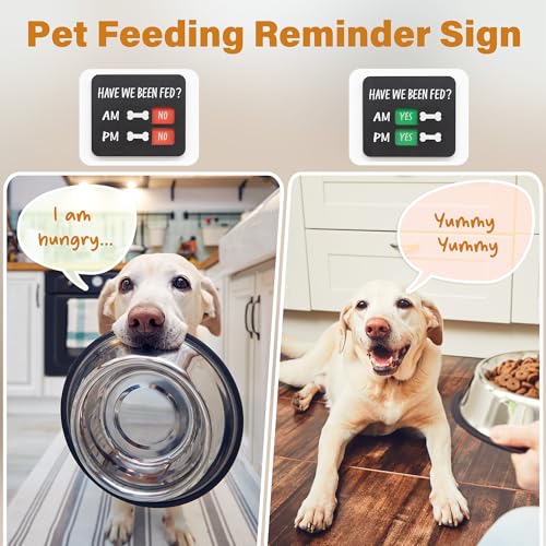 Dog Feeding Reminder