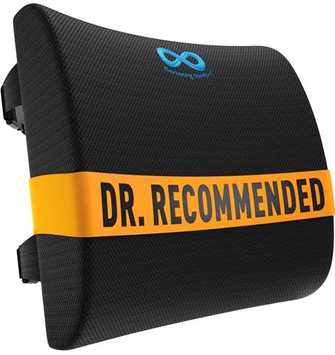The Original Lumbar Support Pillow