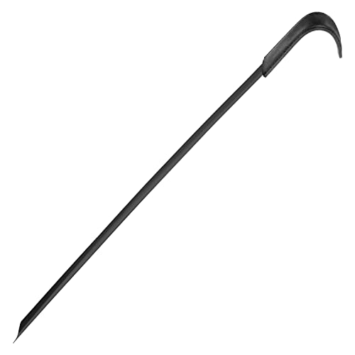 Extra Long Handled Shoe Horn