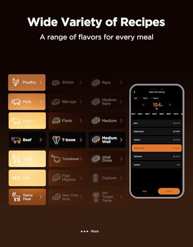 Bluetooth Meat Thermometer Digital