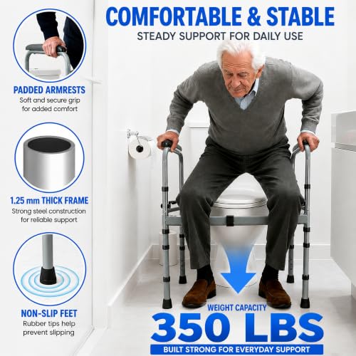 Toilet Safety Rail
