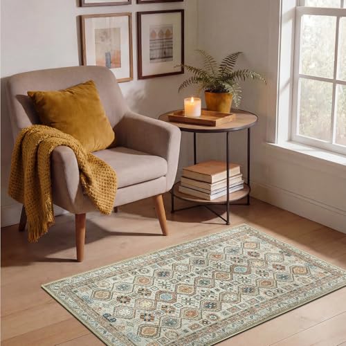 Machine Washable Area Rug with Non