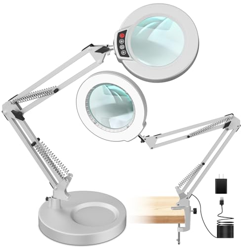 2-in-1 Desk Lamp with Light