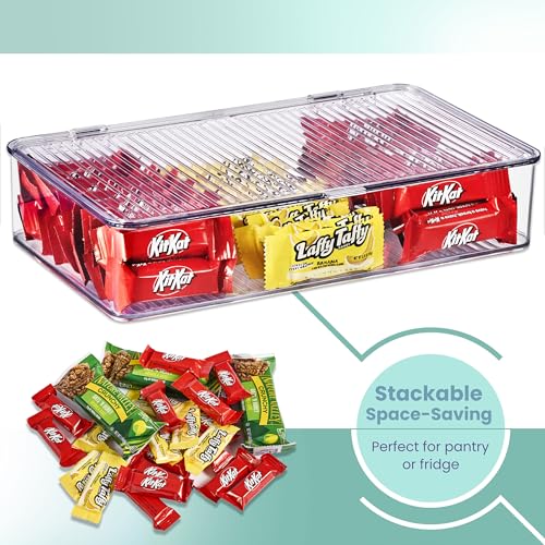 Storage Bins for Pantry & Fridge with Hinged Lids