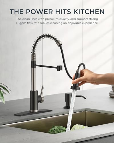 Kitchen Faucet with Pull Down Sprayer