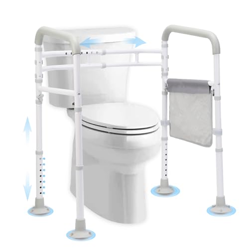 Toilet Safety Rails