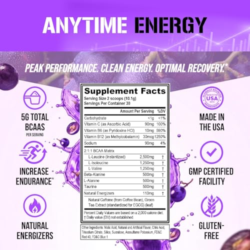EVL BCAAs Amino Acids Powder