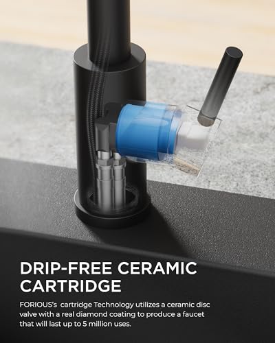 Kitchen Faucet with Pull Down Sprayer