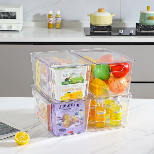Storage Bins with Lids