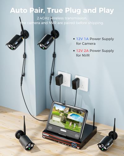 Security Camera System with LCD