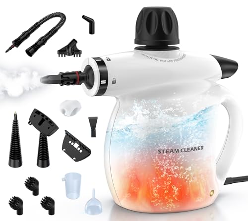 Steam Cleaner