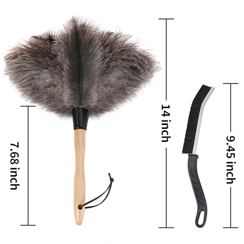 Extendable Ostrich Feather Duster