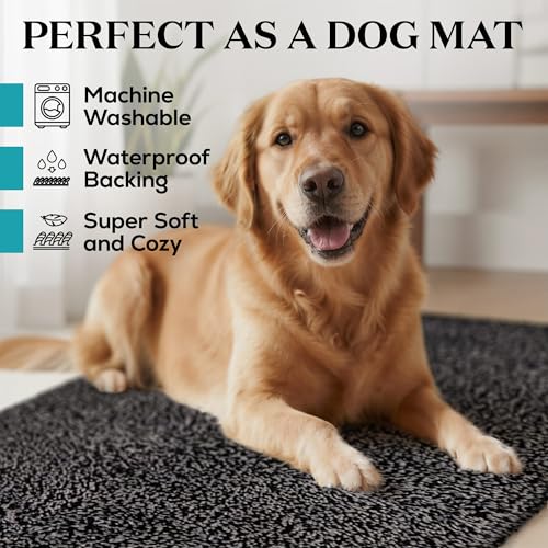 Indoor Door Mat