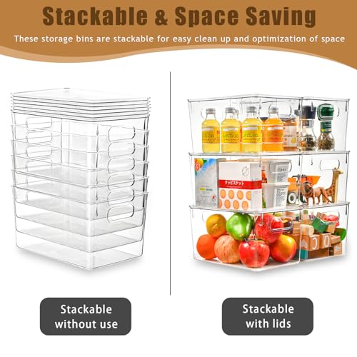 Storage Bins with Lids