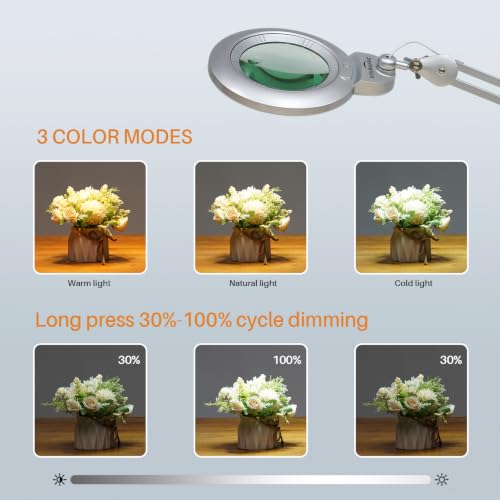 Bifocal Magnifying Lamp with Clamp